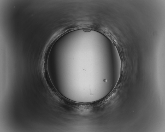 X0000093510101200710121538