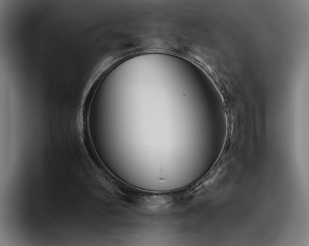 X0000093510102200710121538