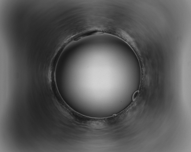 X0000093510106200710121538