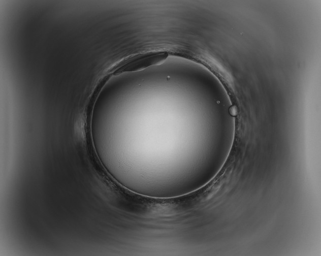 X0000093510107200710121538