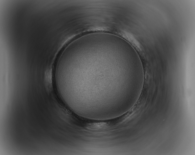 X0000093510108200710121538