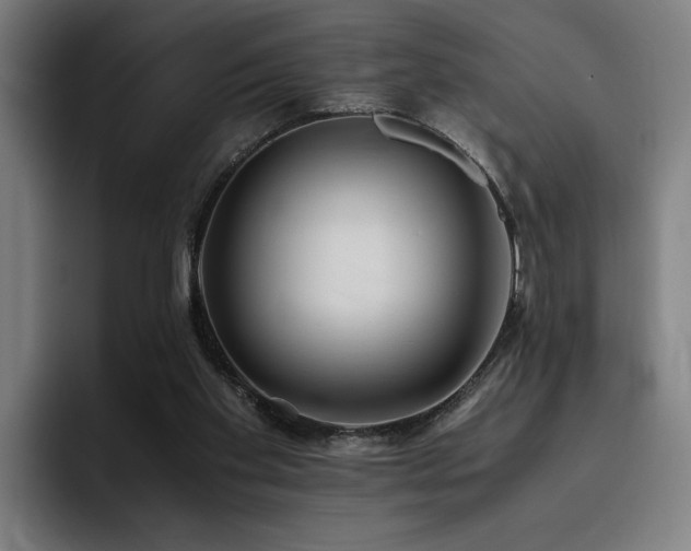 X0000093510109200710121538