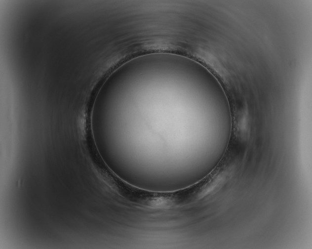 X0000093510111200710121538