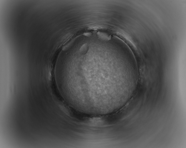 X0000093510114200710121538