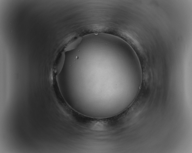 X0000093510115200710121538