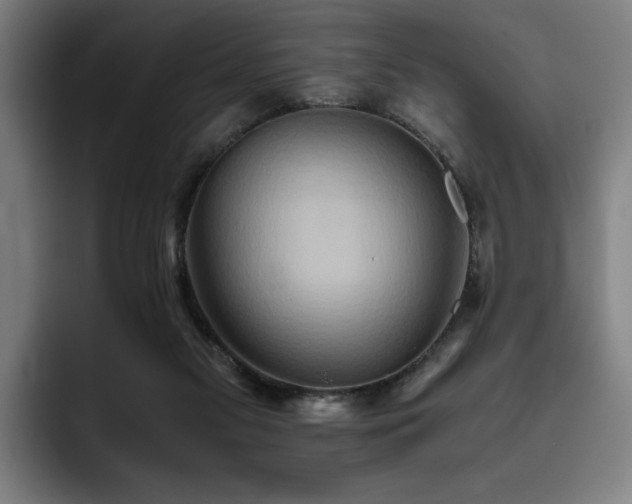 X0000093510117200710121538
