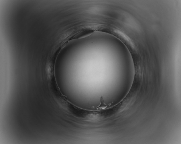 X0000093510119200710121538