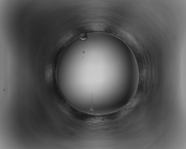 X0000093510120200710121538