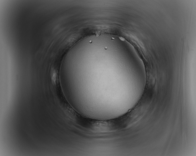 X0000093510123200710121538