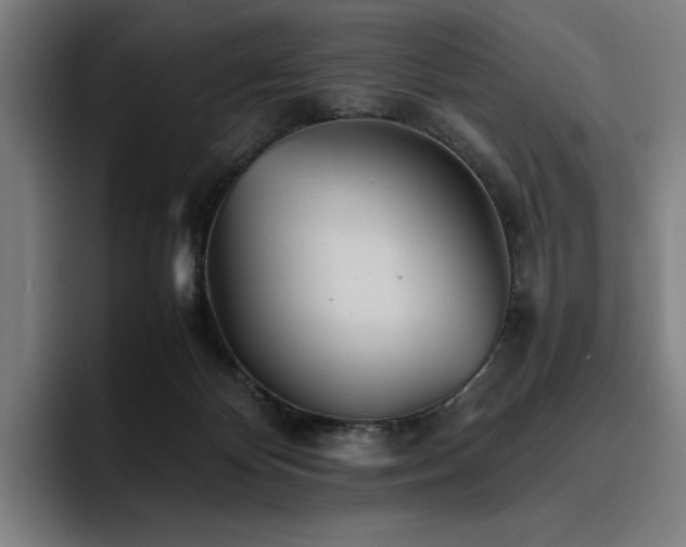 X0000093510124200710121538