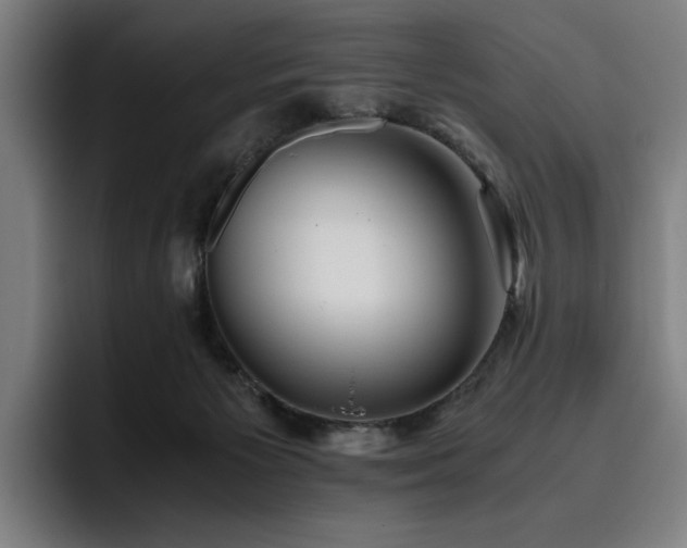 X0000093510125200710121538