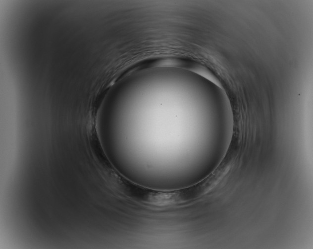 X0000093510129200710121538