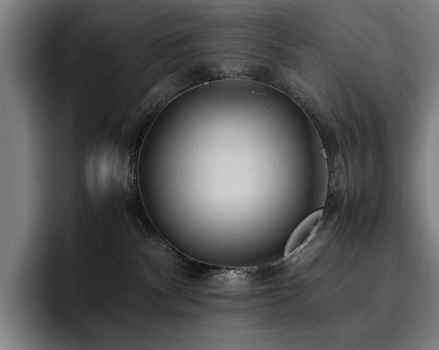 X0000093510140200710121538