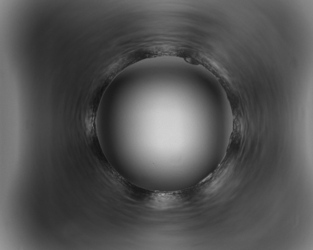 X0000093510141200710121538