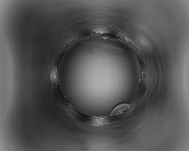X0000093510143200710121538
