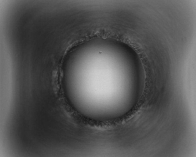 X0000093510144200710121538