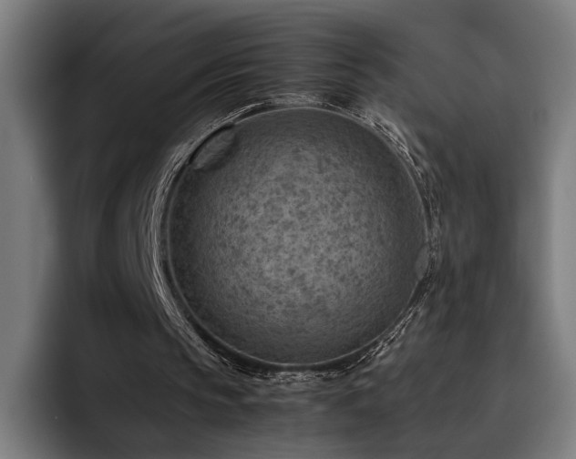 X0000093510145200710121537