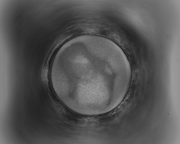 X0000093510146200710121537