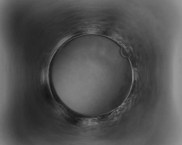 X0000093510147200710121537
