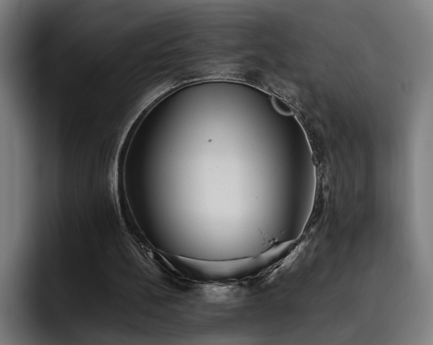 X0000093510148200710121537