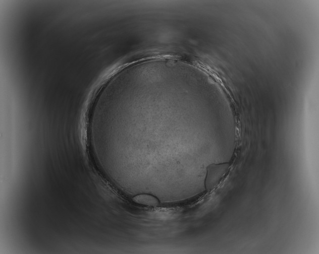 X0000093510149200710121537
