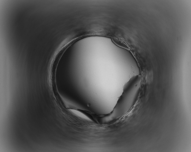 X0000093510150200710121537