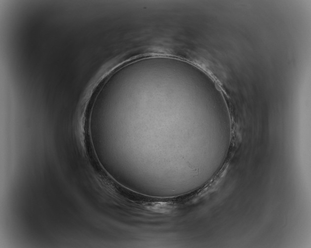 X0000093510151200710121538