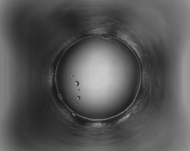 X0000093510153200710121538
