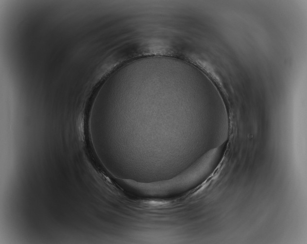 X0000093510154200710121538