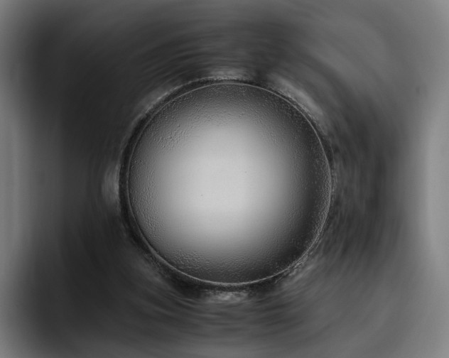 X0000093510155200710121538