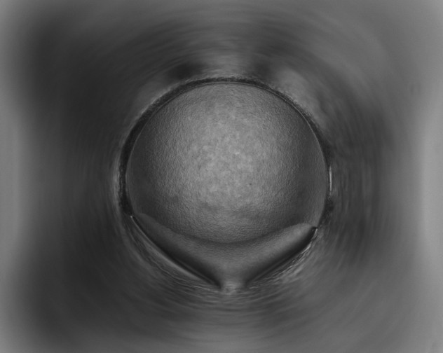 X0000093510156200710121538