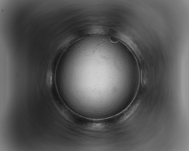 X0000093510157200710121538