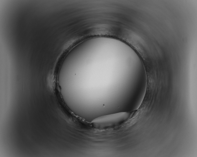 X0000093510160200710121538