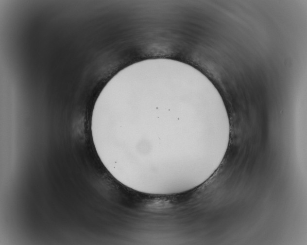 X0000093510162200710121538