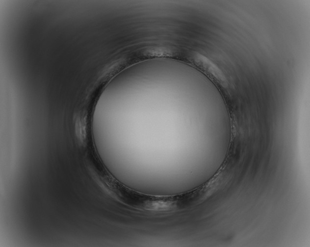 X0000093510163200710121538