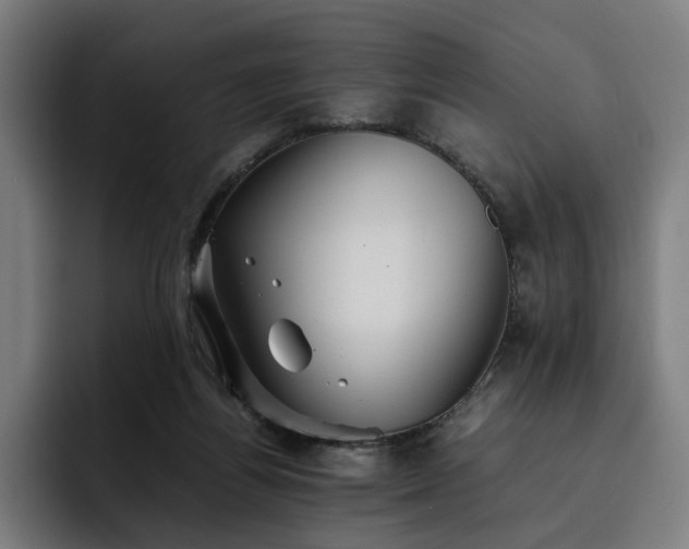 X0000093510164200710121538