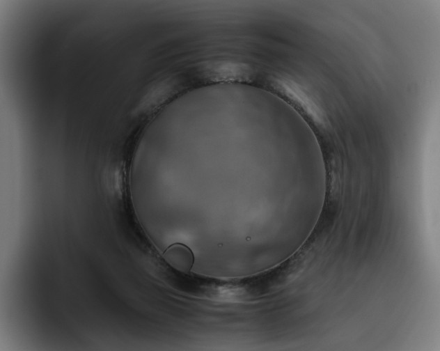 X0000093510165200710121538