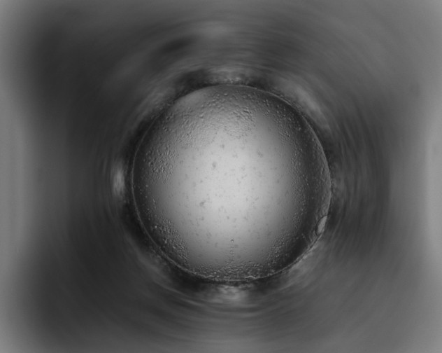X0000093510166200710121538