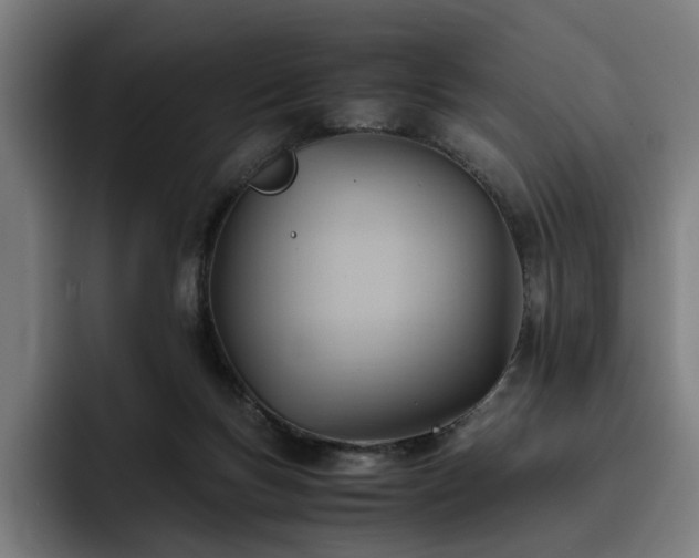 X0000093510167200710121538