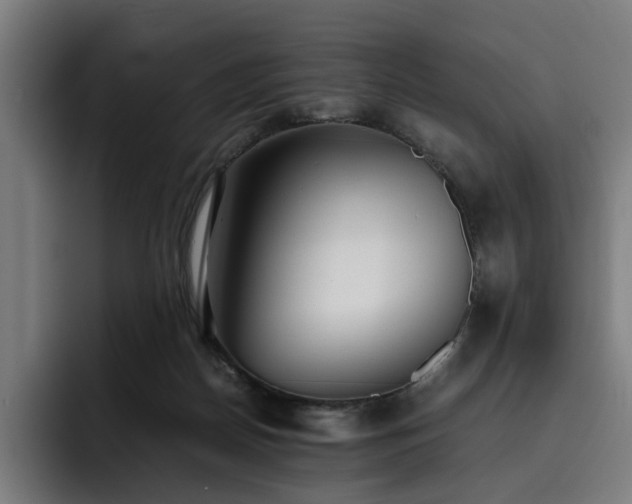 X0000093510170200710121538