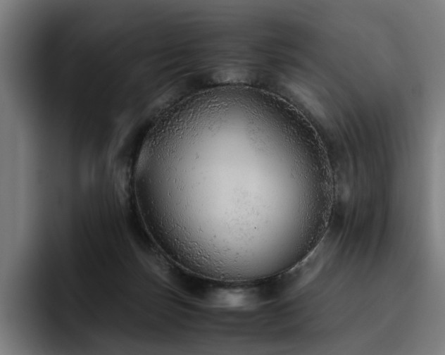 X0000093510171200710121538