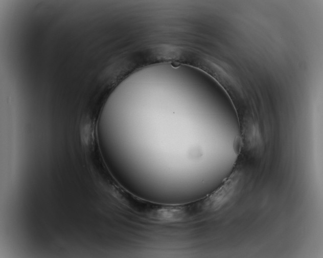 X0000093510172200710121538