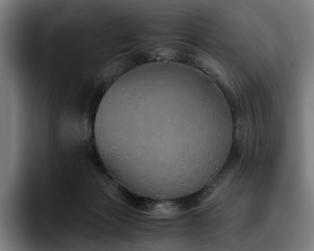 X0000093510173200710121538