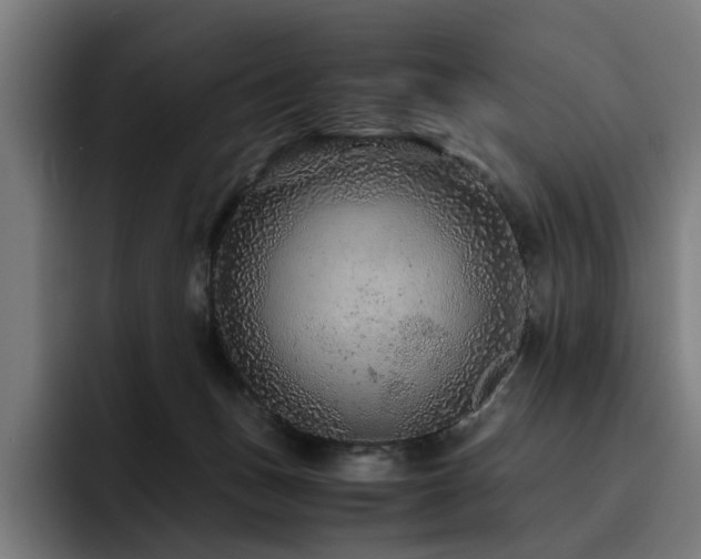 X0000093510175200710121538