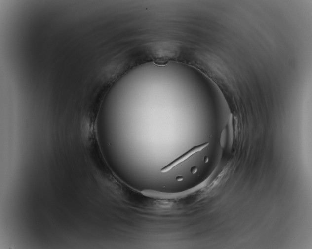 X0000093510176200710121538