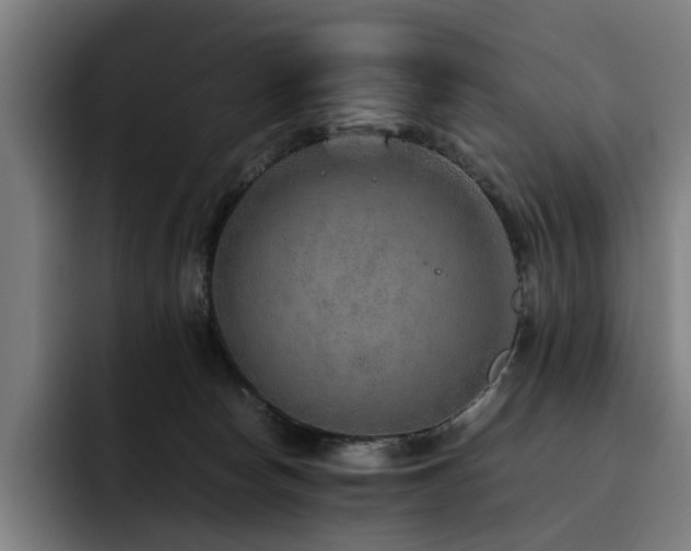X0000093510178200710121538