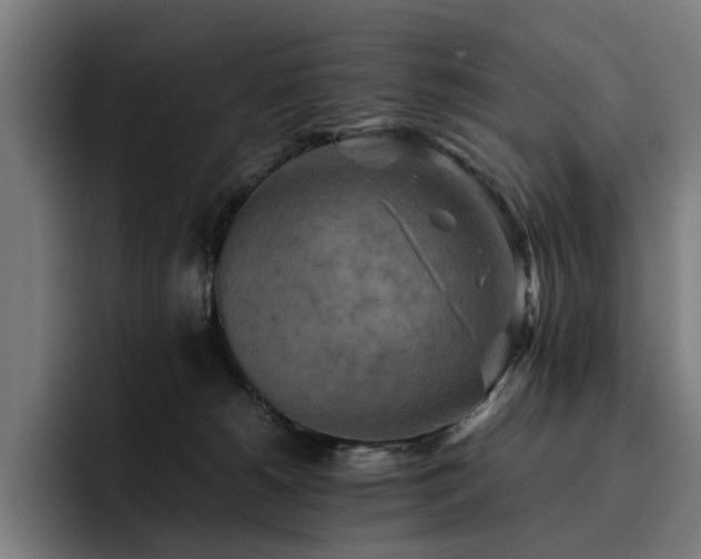 X0000093510180200710121538