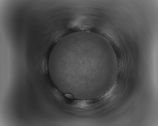 X0000093510182200710121538