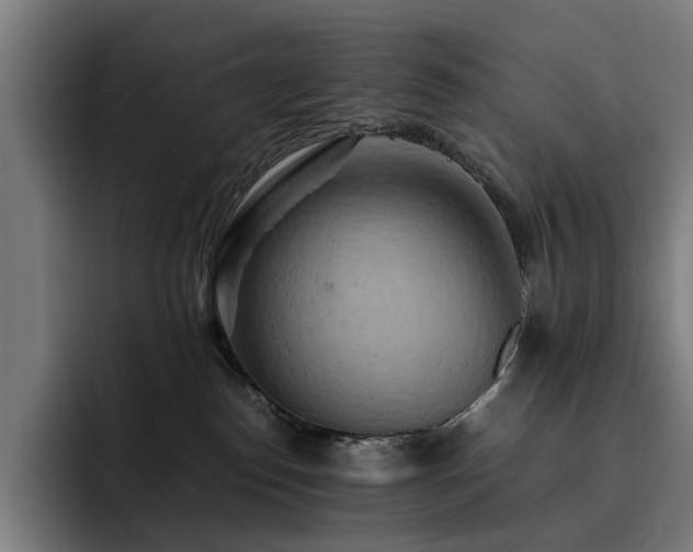 X0000093510186200710121538