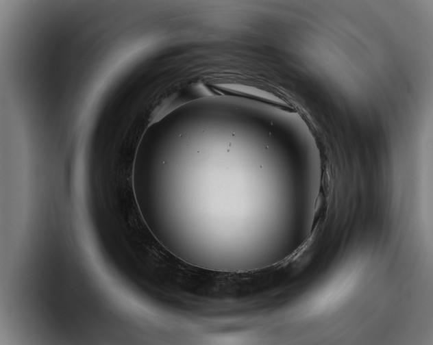 X0000093510190200710121538